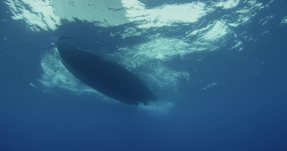 View of the bottom of a boat floating in the ocean