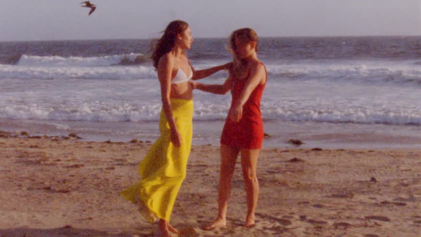 Two girls are holding hands a beach as the waves roll in and a seagull flies over the water