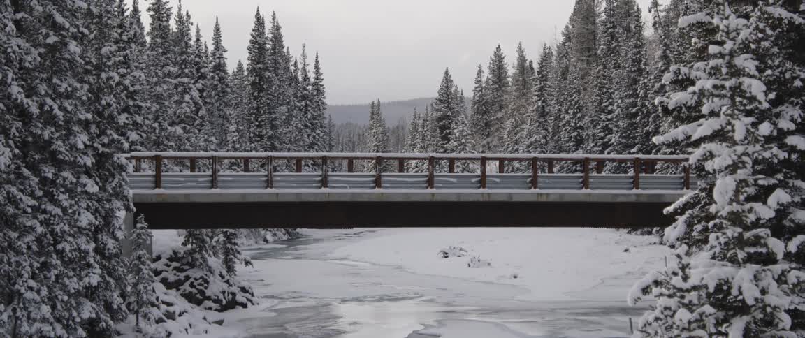 Snow is covering the forest and bridge