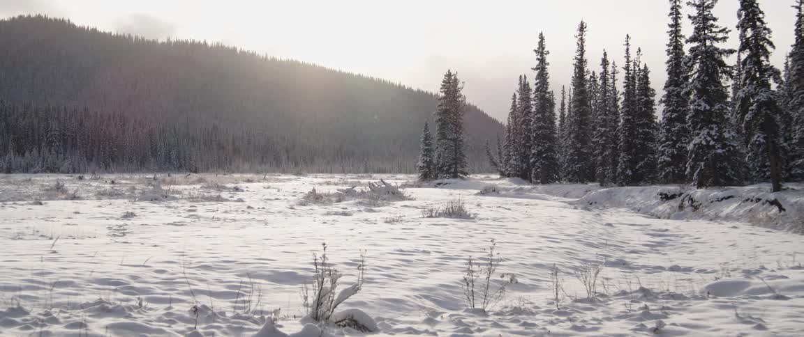Snow is covering the arctic landscape at dusk