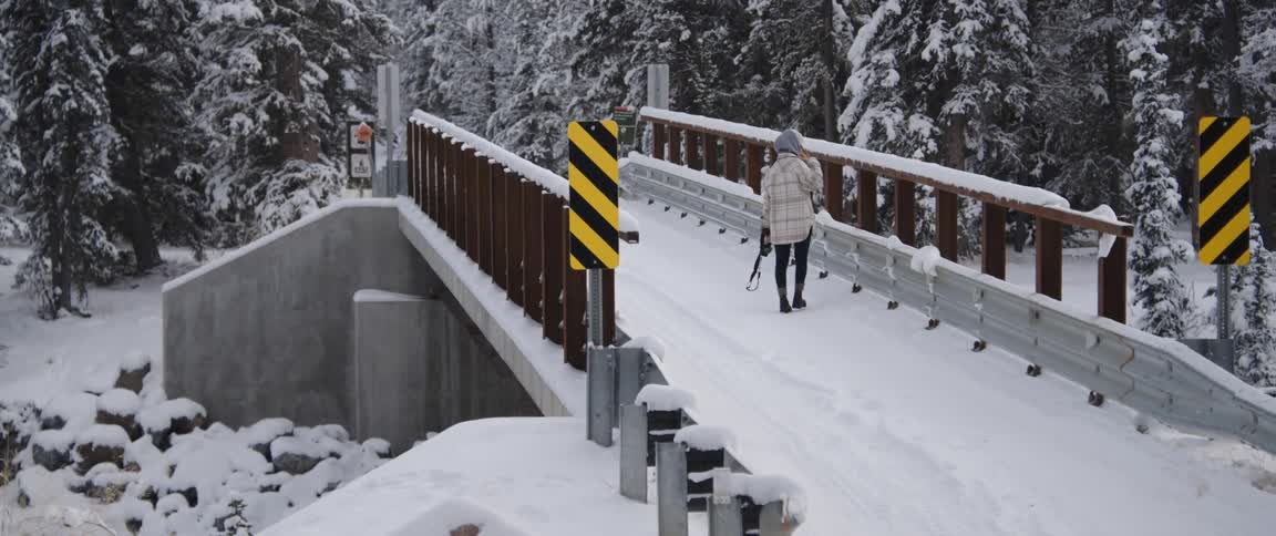 A person is walking over a snowy bridge in winter