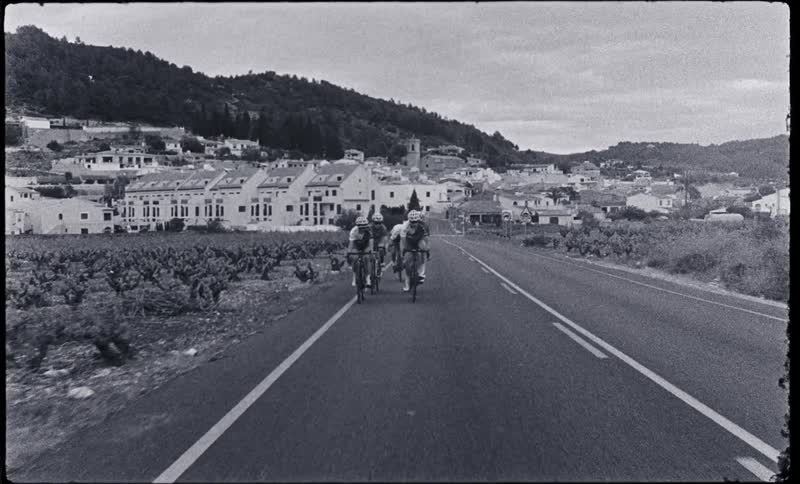A group of people bicycle on a quiet road together