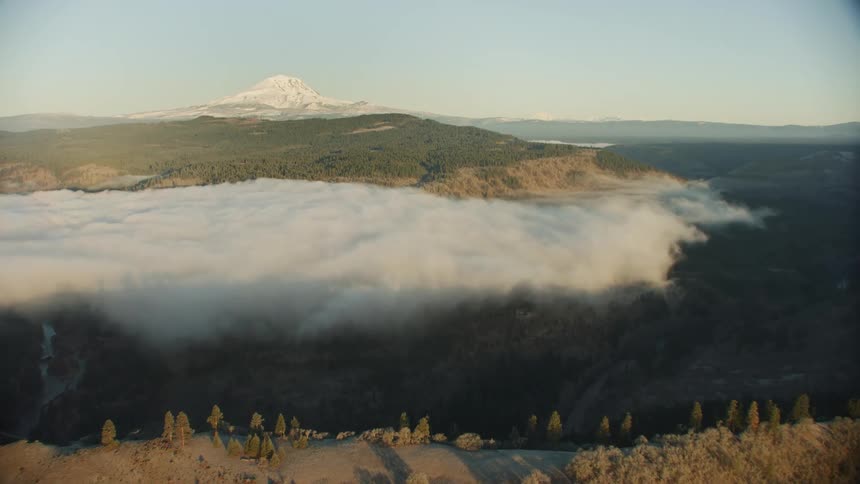 Thick clouds are hovering over a forest in the wilderness near a snowy mountain