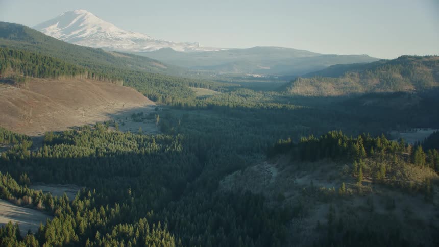 Clear cut logging swath revealed with Mount Adams in the background