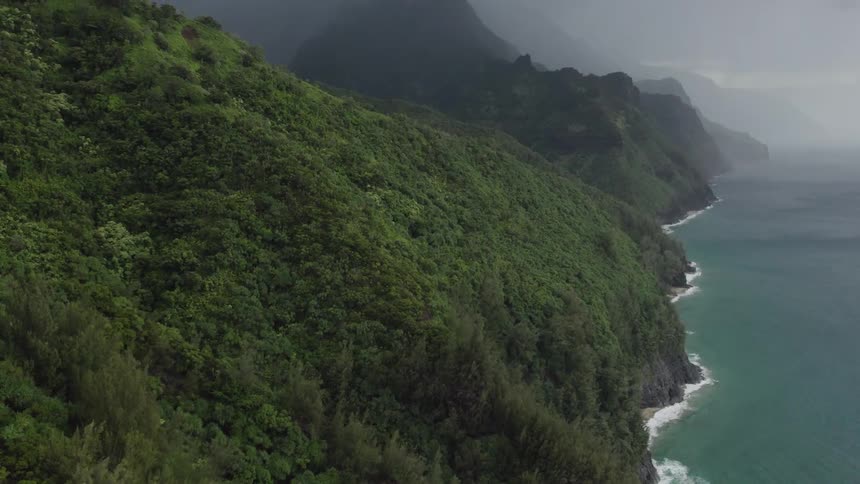 An aerial view of a forest on a foggy shoreline