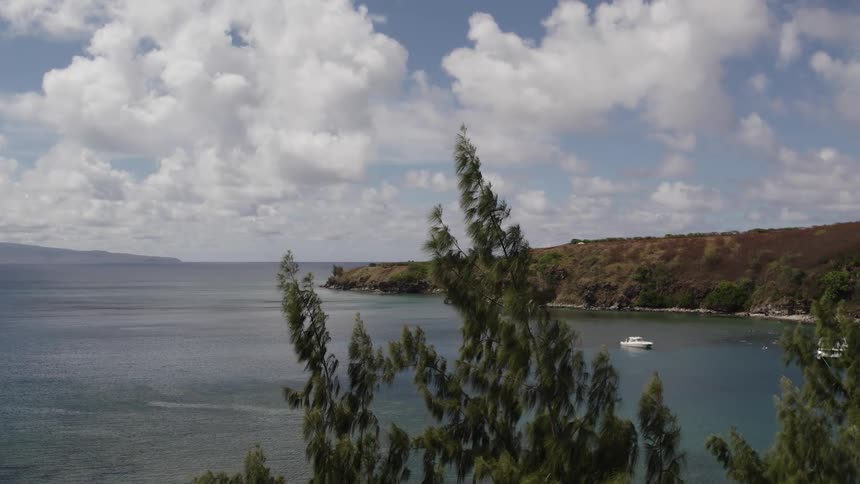 View of coast with boats seen from cliff