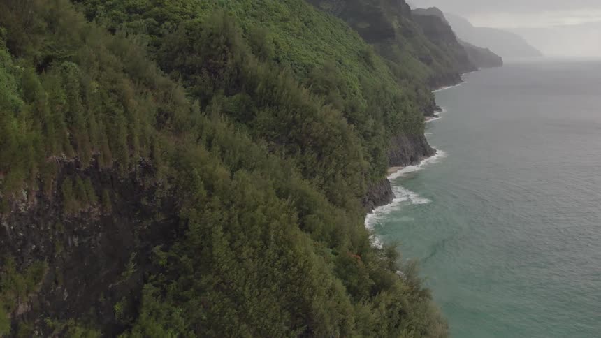 Trees and brush on a steep slope in the wind above splashing ocean waves