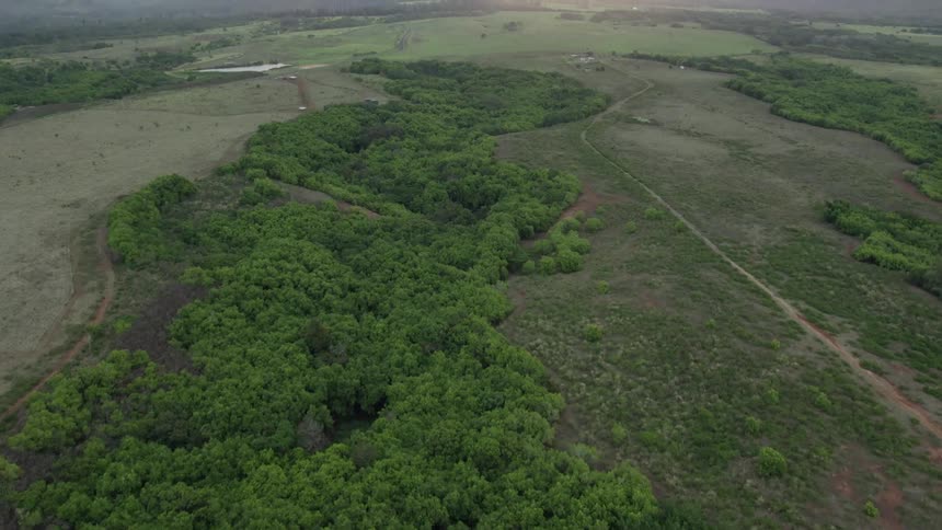 Aerial view of field with trees and paths on cloudy day at sunset