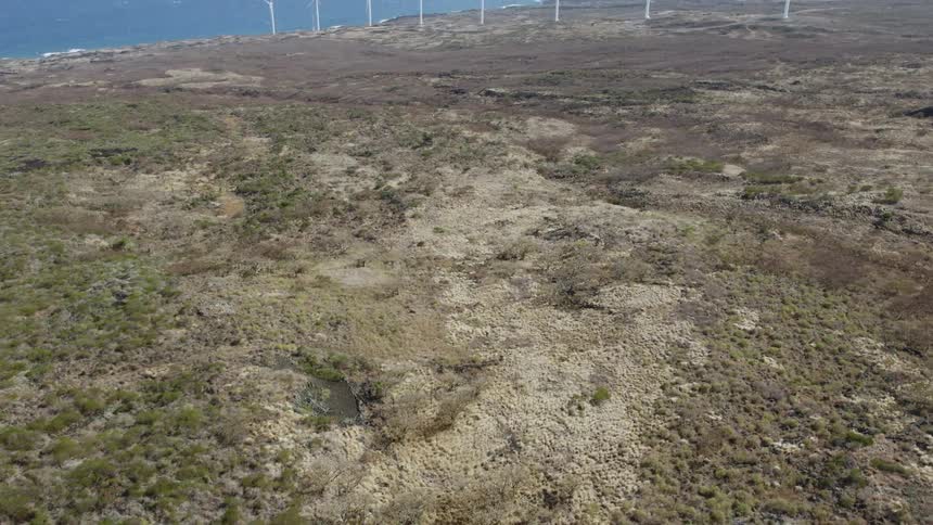 Turbines spinning on a wind farm along the coast