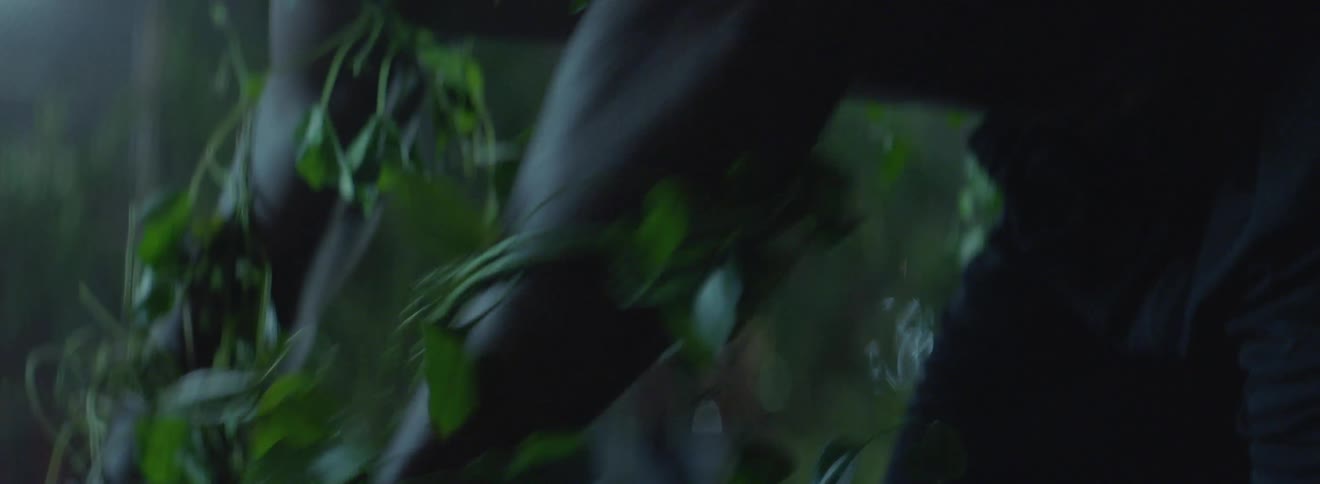 A man is on his hands and knees covered in vines