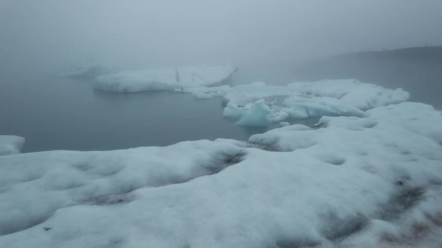 A bird flies through thick fog over icebergs in the ocean