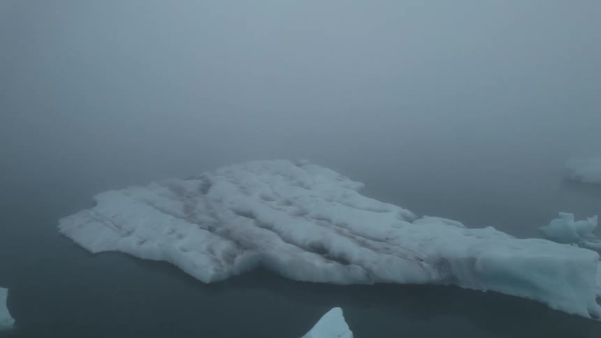 Heavy fog covers the icebergs