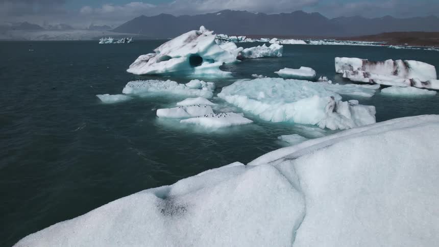 Penguins standing over an iceberg floating over the ocean near the coast