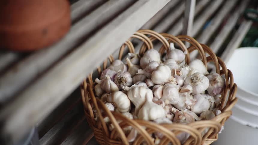 Raw garlic in basket on shelf in the kitchen
