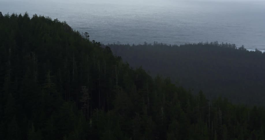 A forest covered mountain lies on the coast of a misty ocean
