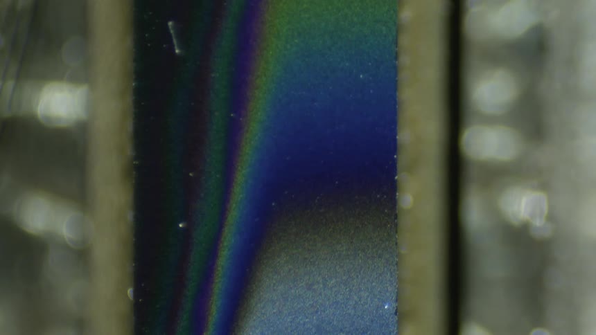 An oily substance reflects back in colors
