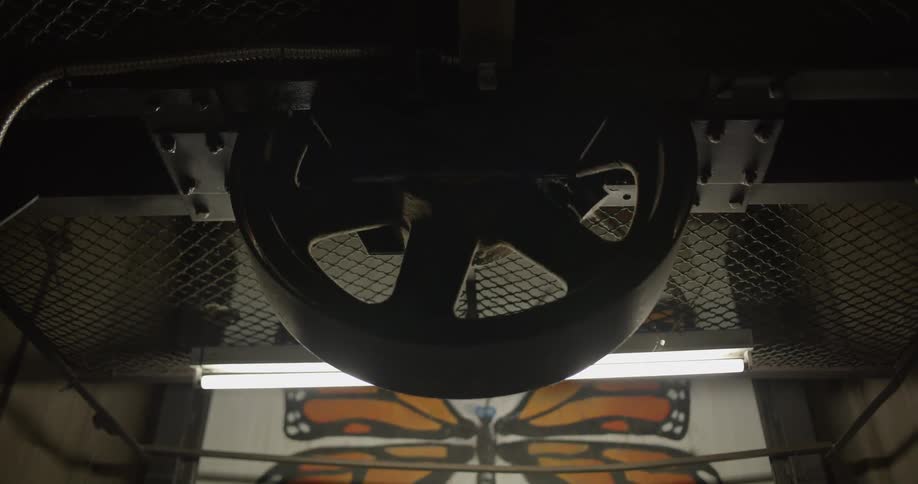 A large image of a butterfly is printed in an industrial machine