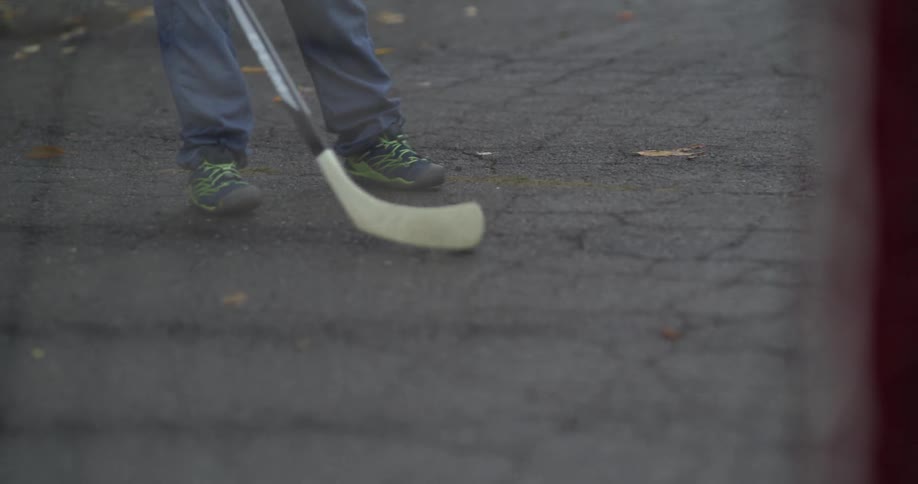 A child hits a ball into a net with a hockey stick in the driveway