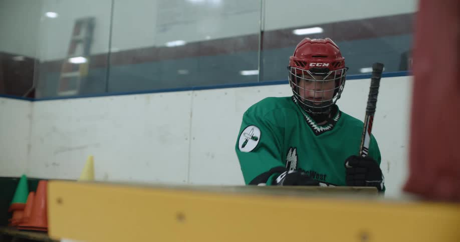 A person walking out onto the ice with a hockey stick