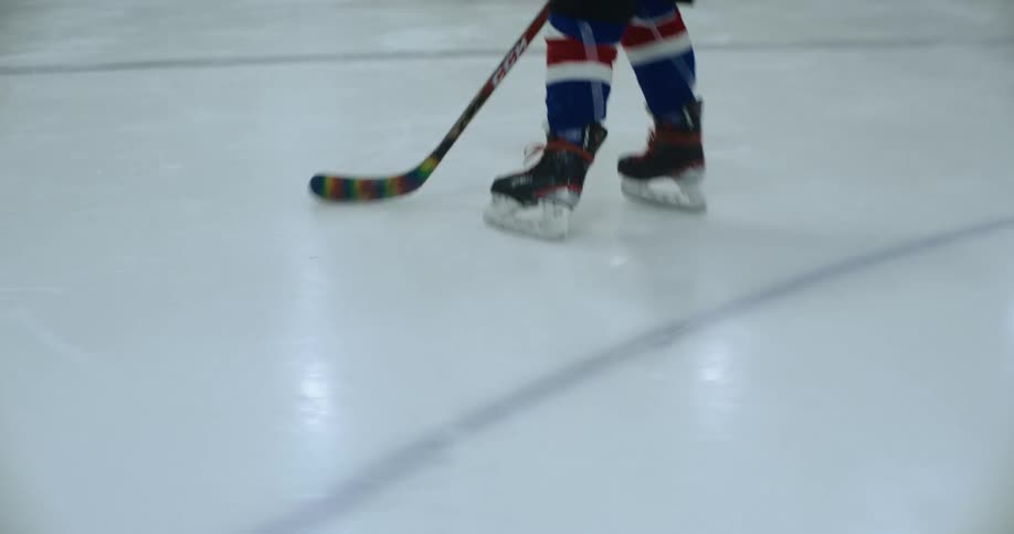 Person playing hockey