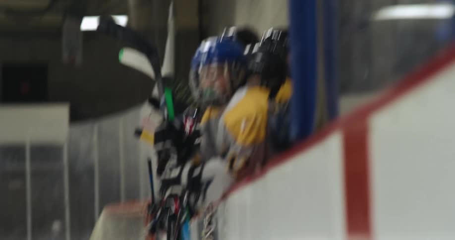 A hockey team cheers by beating their sticks against the side of a rink