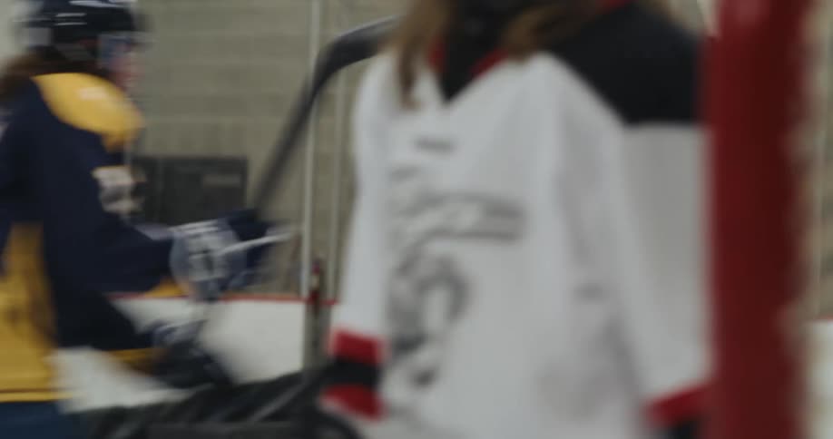 Hockey players start fighting during the game