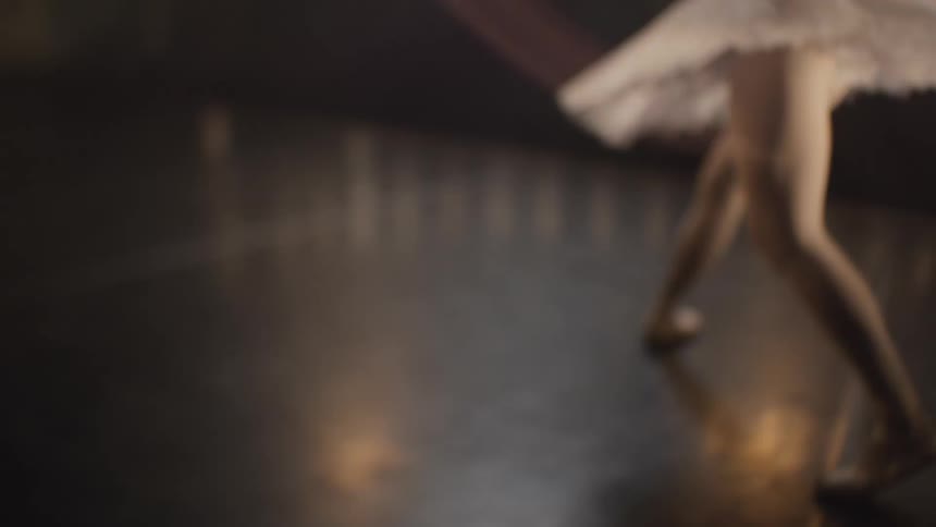 A ballerina dances on a stage in a theater