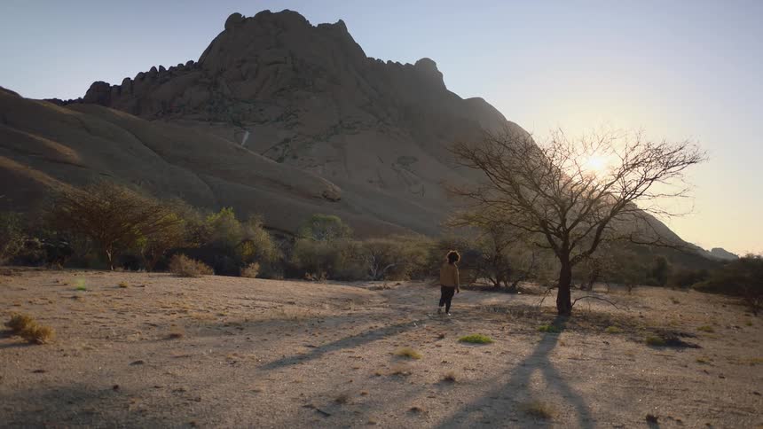 Woman walks in the desert to a tree with mountain in the background at sunset
