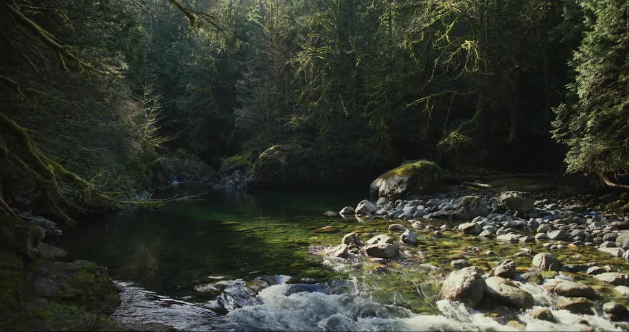 A river flows over large rocks in a forest