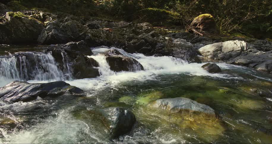 A rocky river in the wilderness during the day