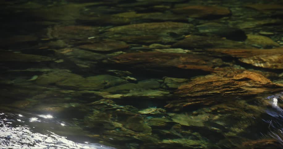 Sunlight is glistening off of water that is flowing in a crystal clear river