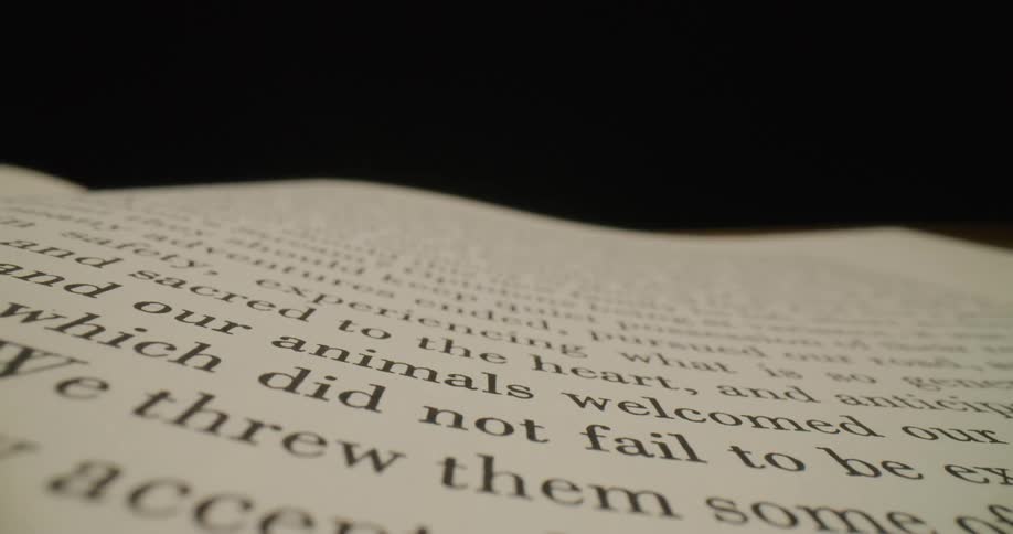 A view text writing on a book page
