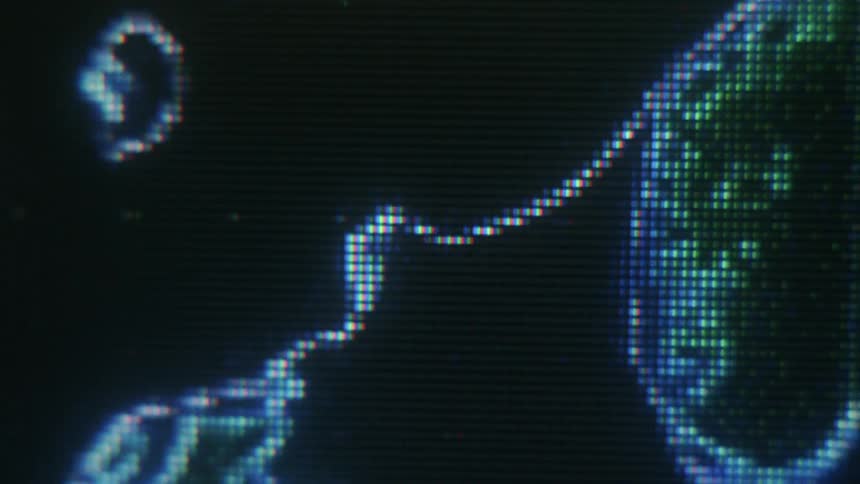 A display shows coastlines with flashing lines of light around them