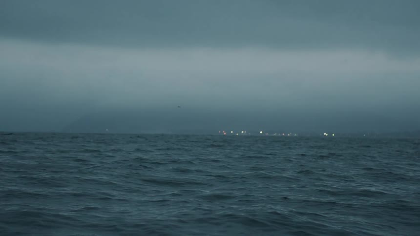 Rough waters on a cloudy day with a single bird flying past