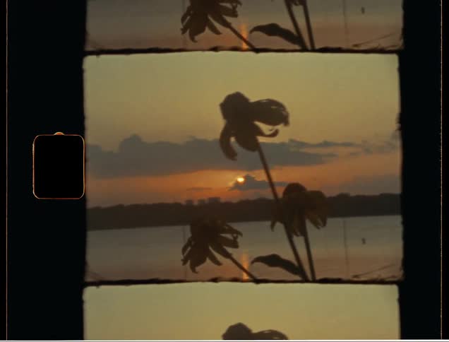 A film frame shows a flower silhouetted against a lake at sunset