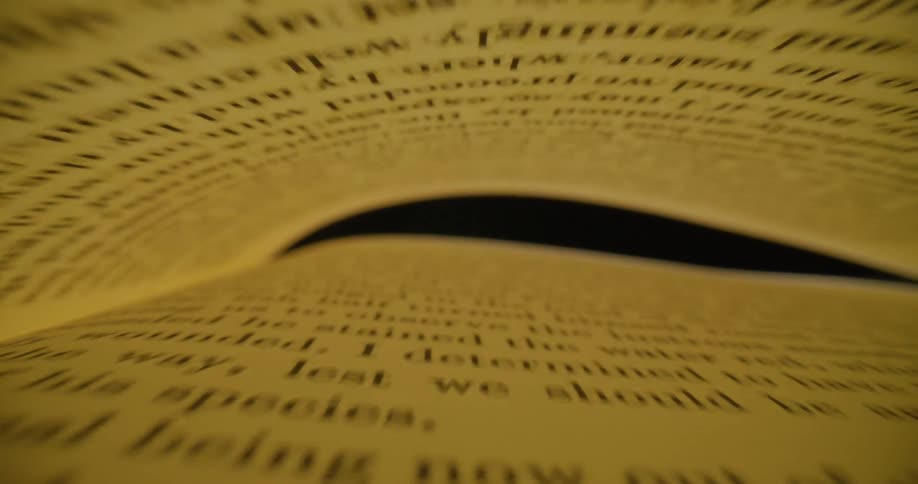 Words are displayed on pages in a book