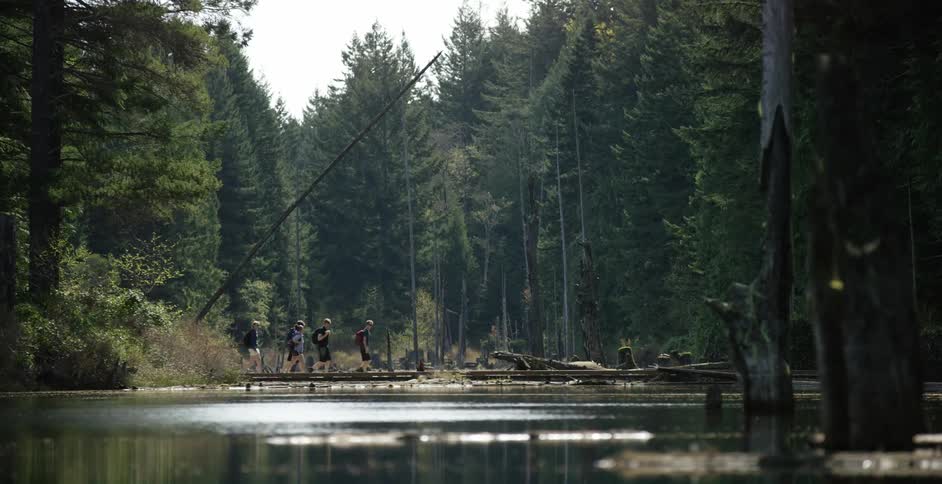A group of hikers pass a body of water