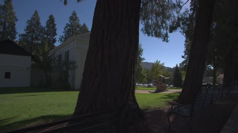 A large building with trees all around on a sunny day