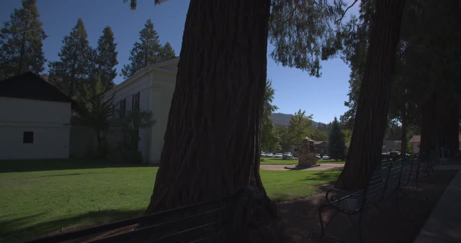 A large building with trees all around on a sunny day