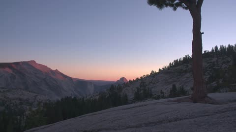 A tree trunk growing through rock overlooking the valley and mountain at sunset