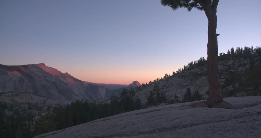 A tree trunk growing through rock overlooking the valley and mountain at sunset