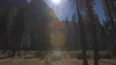 A few pine trees and brush lie beside a mountain