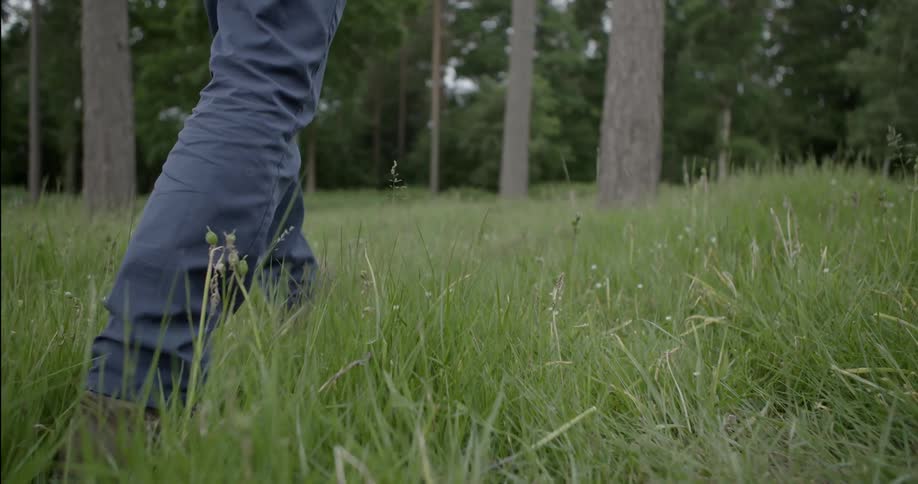 A person in jeans walks through a grassy field