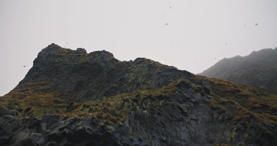 Birds are flying above the rocky cliffs at dusk
