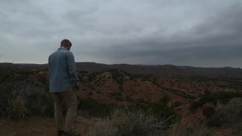 A desert stands sliently as a man walks through it