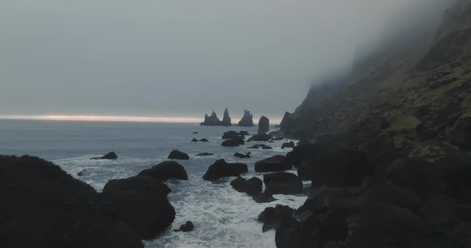 A bird flies over the foggy shore
