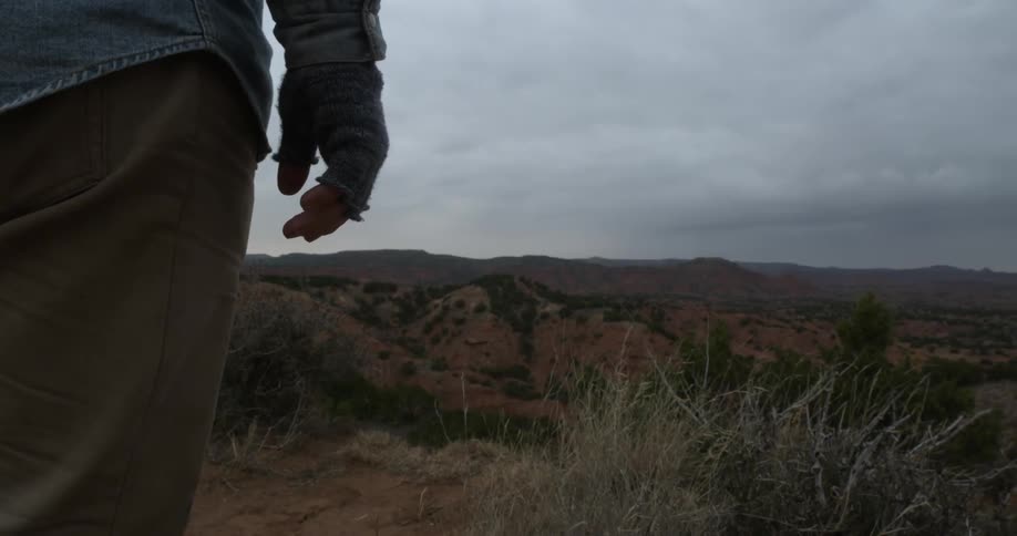 A person wearing fingerless gloves, standing and looking out over shrub-scudded mountains on a cloudy day