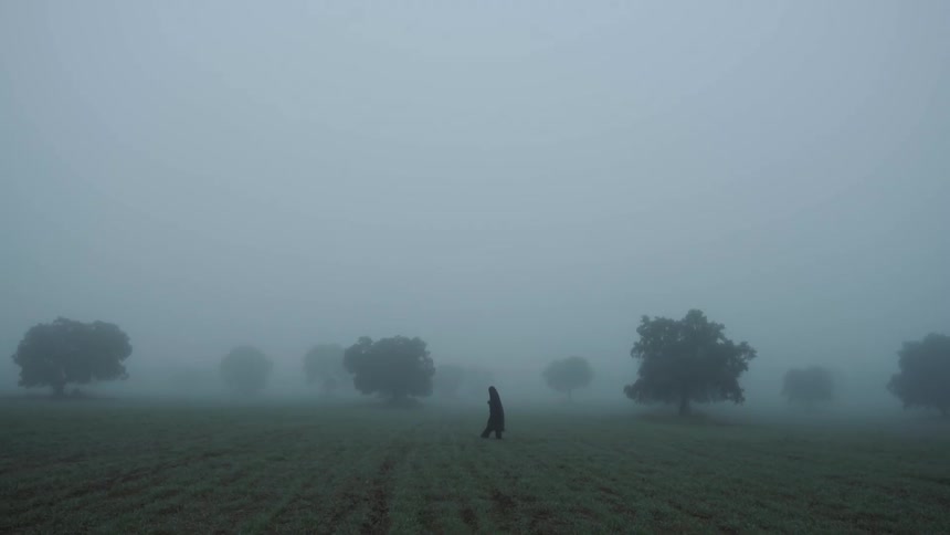 A person is walking alone in a foggy field