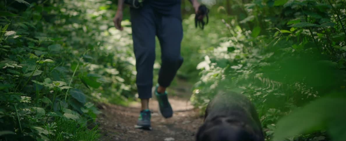 Happy dog walking off leash on a hiking trail with his owner