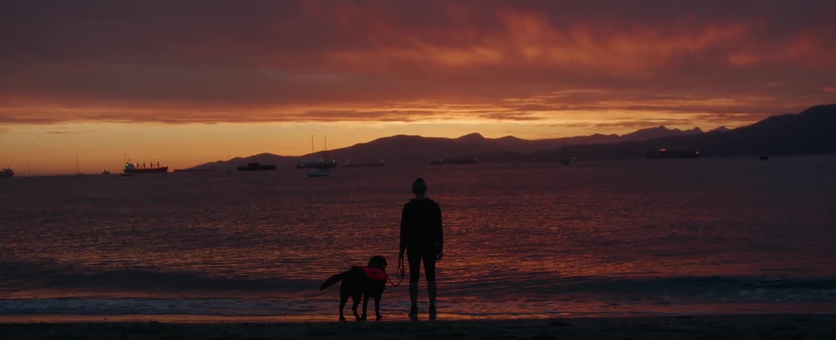 A person and their dog is on the coast of a beach at dusk